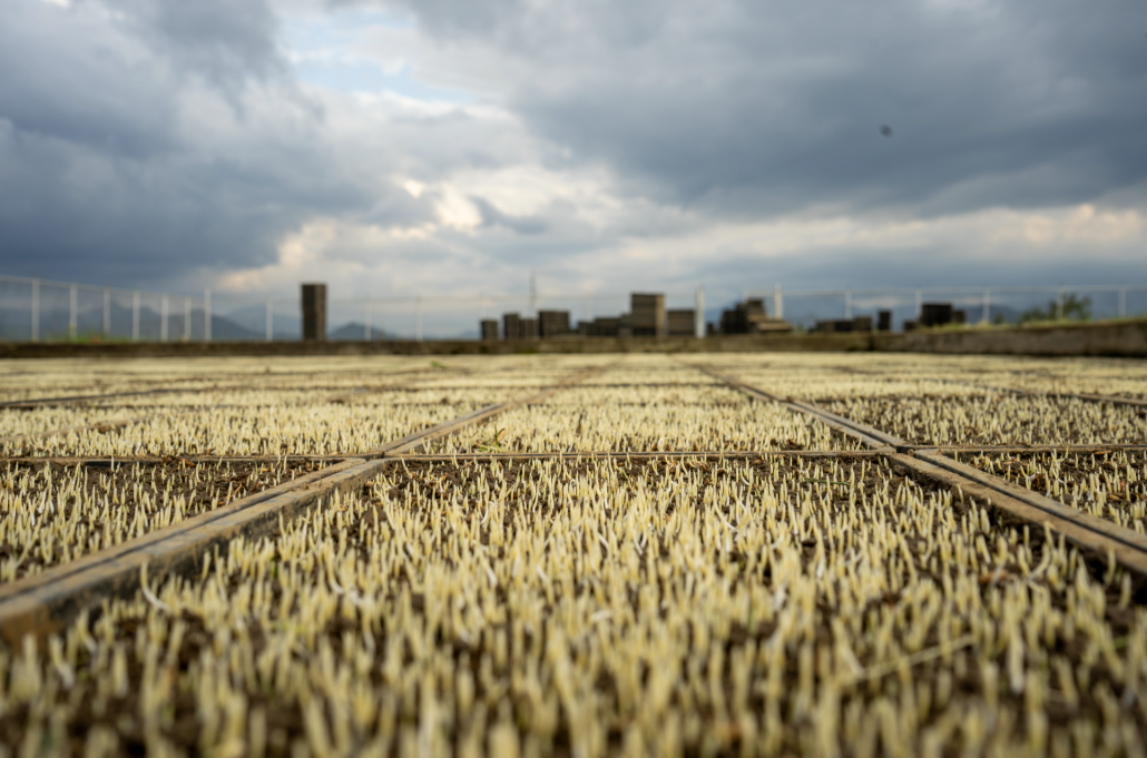 Screenshot 2026 02 16 at 3.49.54 PM